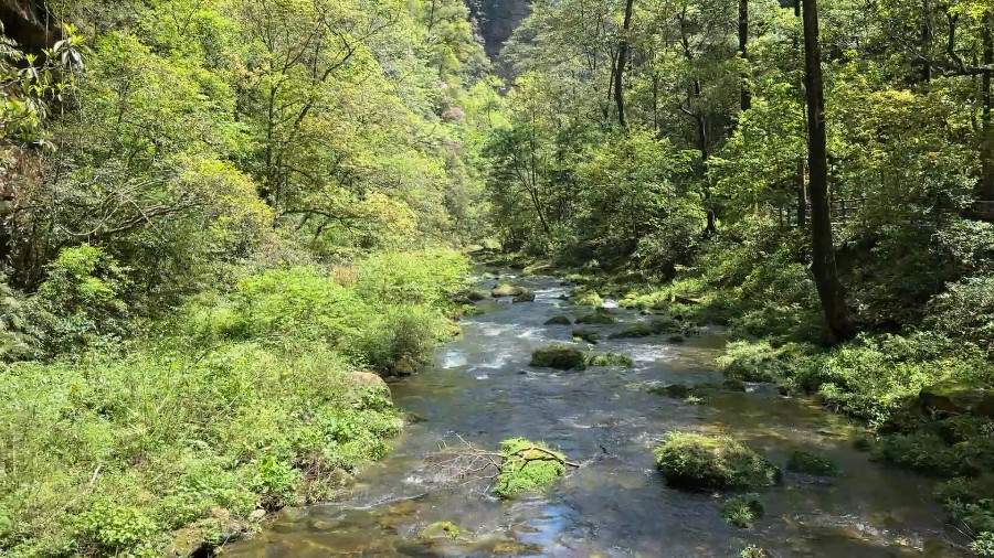 Hike along Golden Whip Stream, Zhangjiajie National Forest Park
