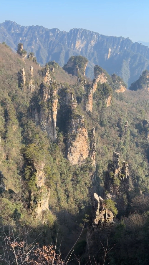 Peaks at Tianzi Mountain, Zhangjiajie National Park