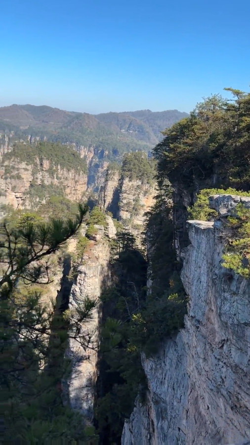 The Peak Forest in Zhangjiajie