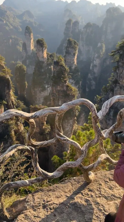 Peaks on Tianzi Mountain